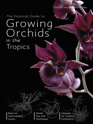 cover image of The Essential Guide to Growing Orchids